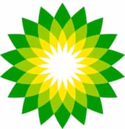 BP公眾有限公司