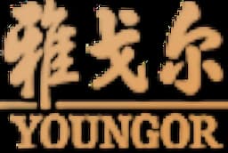 雅戈爾集團股份有限公司