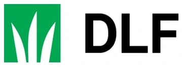 DLF種子