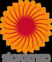 斯道拉恩索（Stora Enso）公司